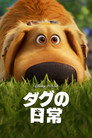 ダグの日常