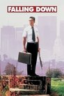 Movie poster for Falling Down