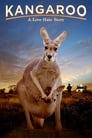 Poster for Kangaroo: A Love-Hate Story