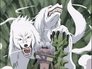 Image Naruto