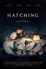 Hatching