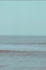 Vibrating Horizon