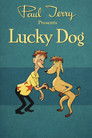 Lucky Dog