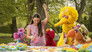 Image Sesame Street