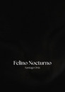 Felino Nocturno