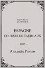 Espagne : courses de taureaux