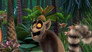 Enter the Fanaloka