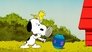The Beagle Did It!