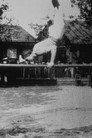 Parallel Bars, I