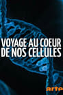 Voyage au cœur de nos cellules – Nom de code : Protéome