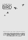 Love is A Bird (2019)