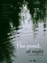 The pond, at night