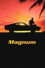 Magnum Voirfilms
