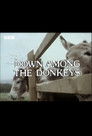 Down Among the Donkeys