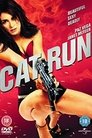 Poster for Cat Run