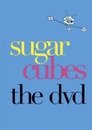 Sugar Cubes - The DVD