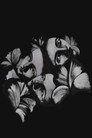 Flore