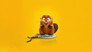 2026 - Jumpers - Un salto tra gli animali thumb