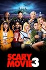 Scary Movie 3 poster