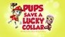Pups Save a Lucky Collar