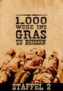 Staffel 2