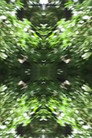 The Richter Garden
