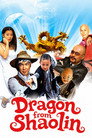 Dragon from Shaolin