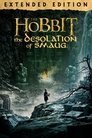 The Hobbit: The Desolation of Smaug - Extended Edition