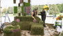 Sod and the City