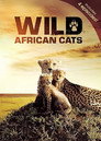 Wild African Cats
