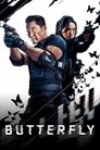 Butterfly poster