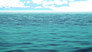 The Endless Summer