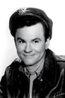 Bob Crane isRobert Hogan