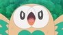 Image Pokémon