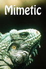 Plakat for 'Mimetic'