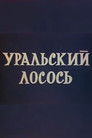 Ural salmon