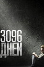 Постер: 3096 Days