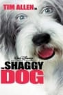 Movie poster for The Shaggy Dog