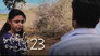Episode 23