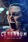 Cerebrum