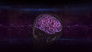 Decoding the Brain