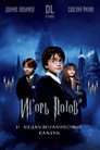 Игорь Потов и Медамвитаминовый камень