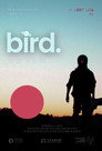 The Not So Flightless, Flightless Bird