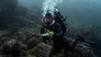 Sharks of the Pacific Ocean