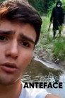Anteface