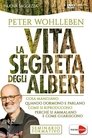 La vita segreta degli alberi