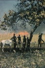Chefs de terre