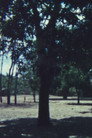 Mussa: A Makonde Village