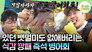 Episode 28