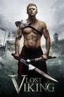 Poster van The Lost Viking